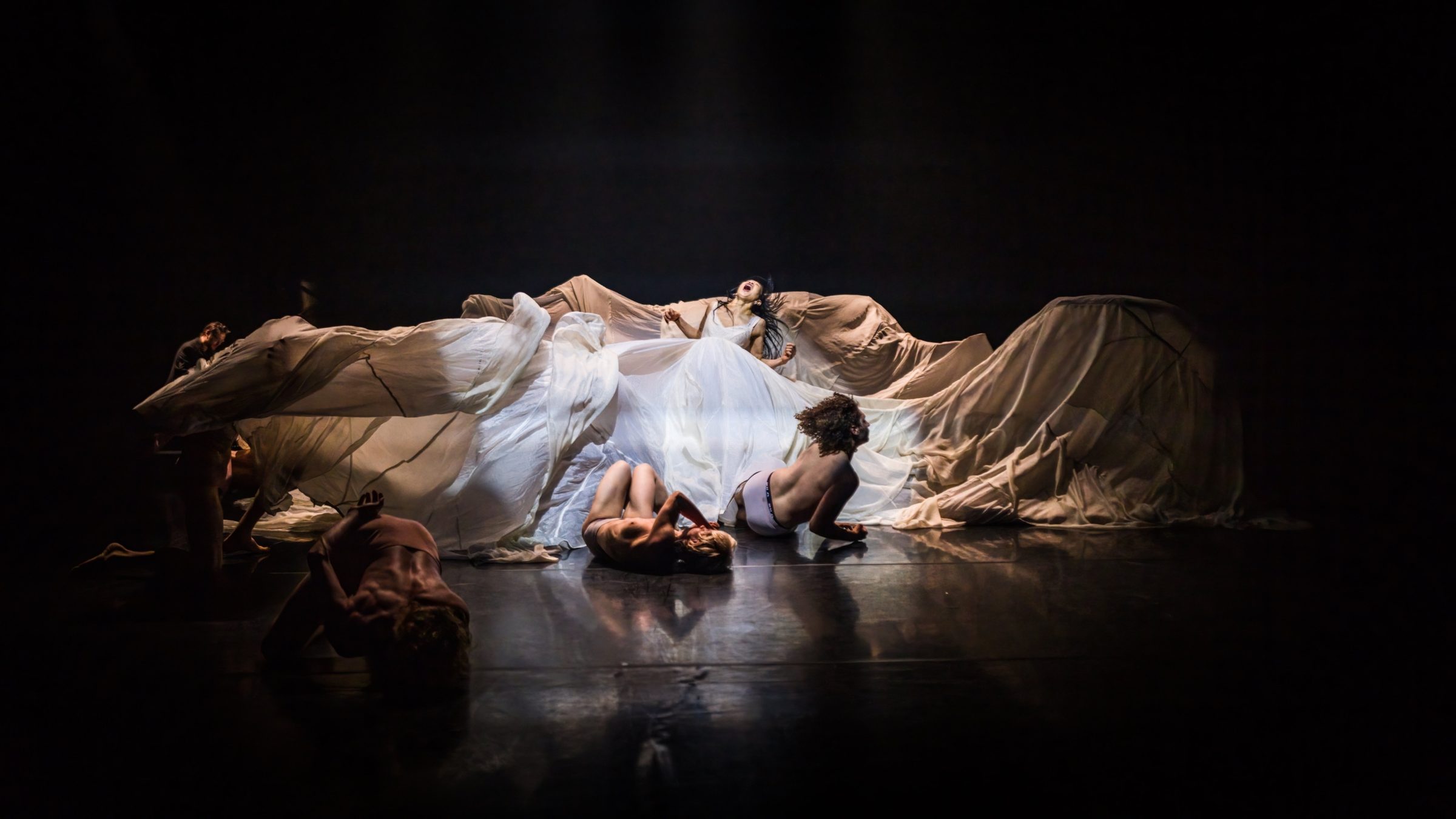 Œuvre scénique produite par Studio SIT — danseurs et drapé lumineux sur scène